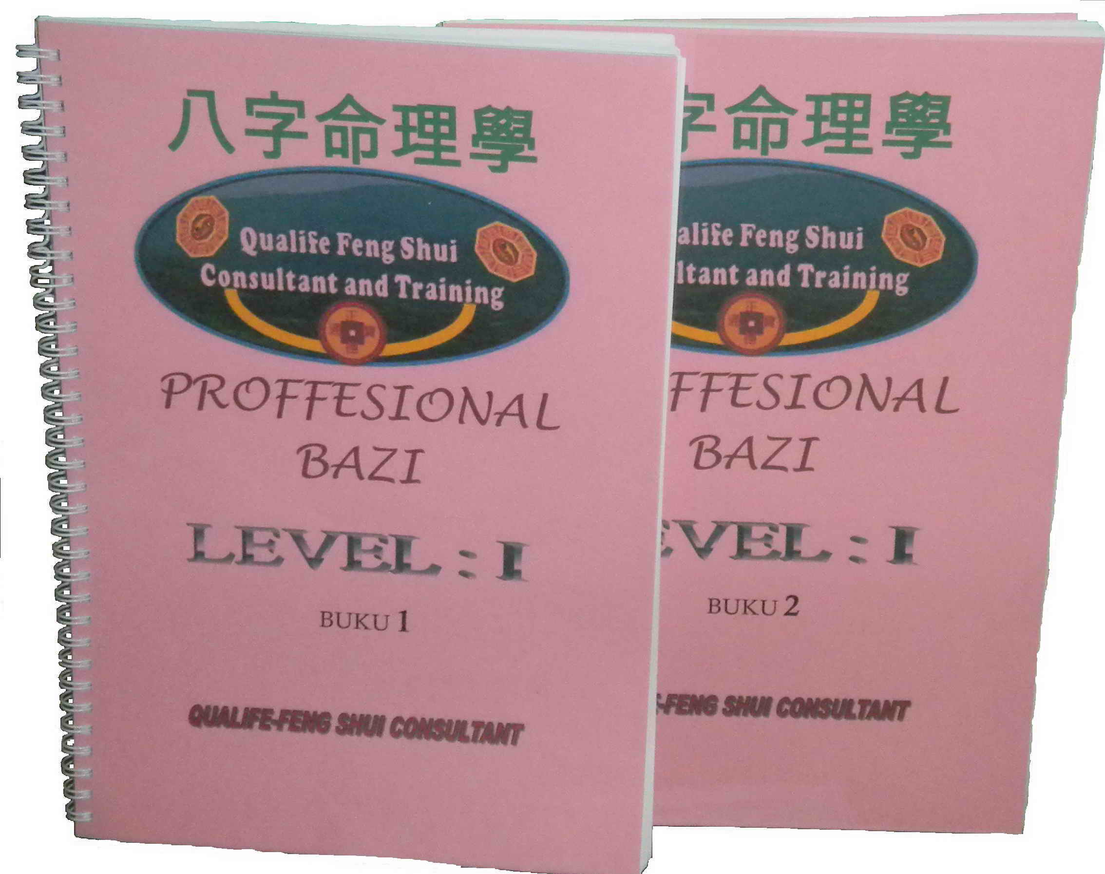 Bazi Profesional Level 1 Qualife Fengshui