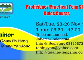 PROFICIENCY PRACTICAL FENG SHUI GUIDE (ENGLISH)