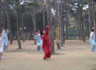 YANG GONG DAN USAHA MENJADI FENG SHUI MASTER